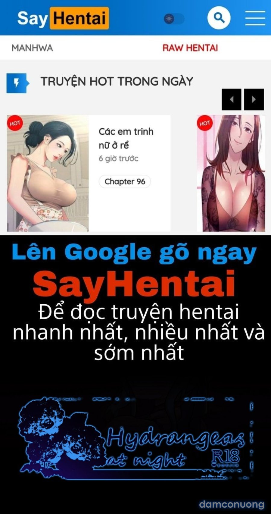 Cẩm Tú Cầu Về Đêm 