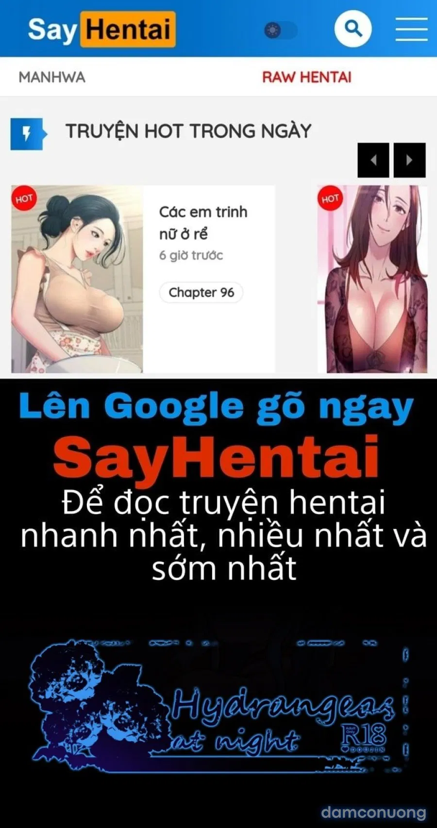 Cẩm Tú Cầu Về Đêm 