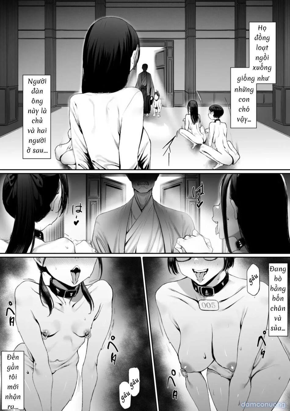 Bản hợp đồng nô lệ...! 
