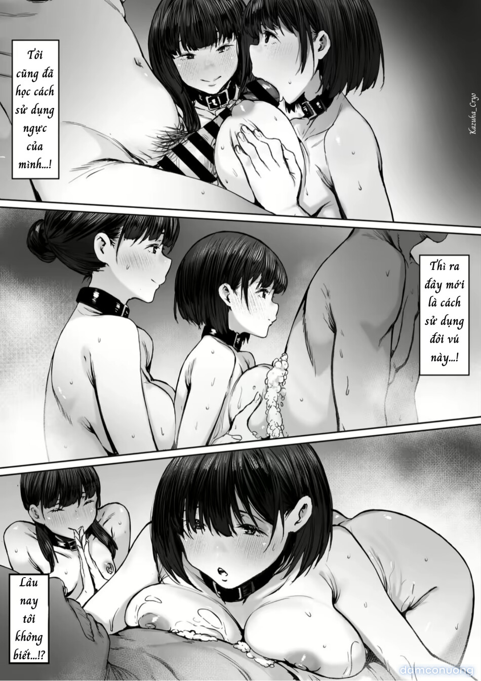Bản hợp đồng nô lệ...! 