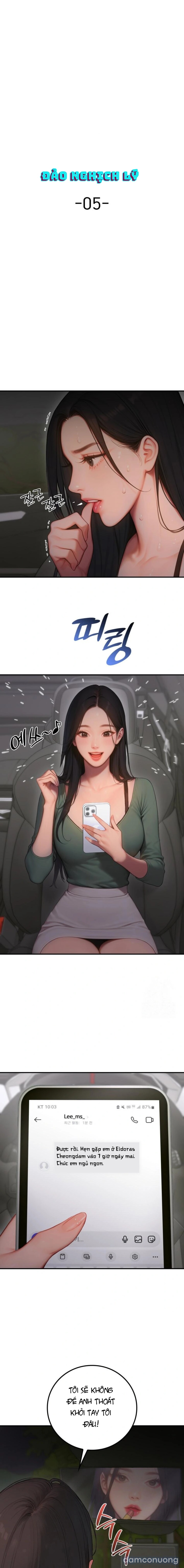 Đảo nghịch lý 