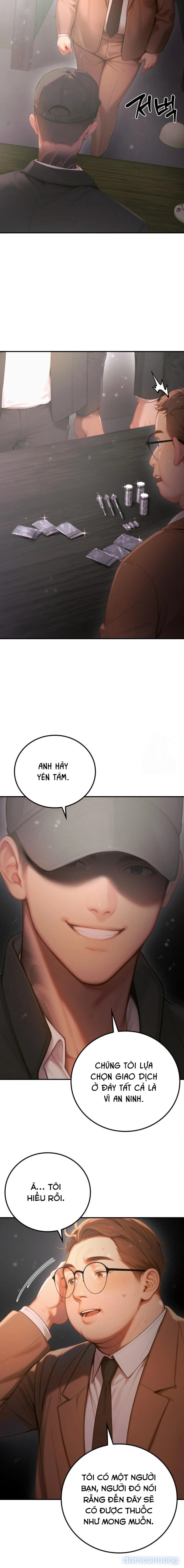 Đảo nghịch lý 
