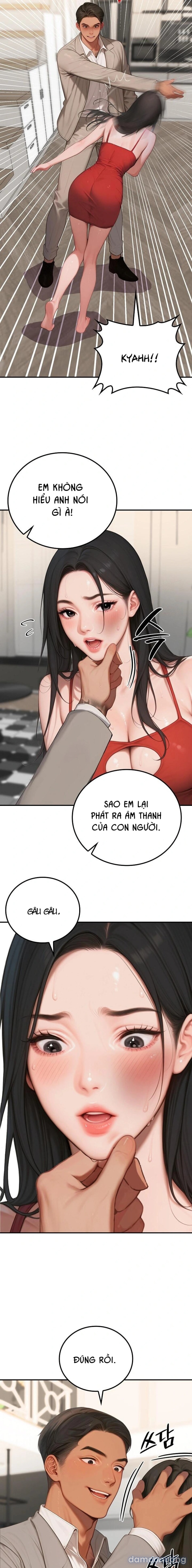 Đảo nghịch lý 