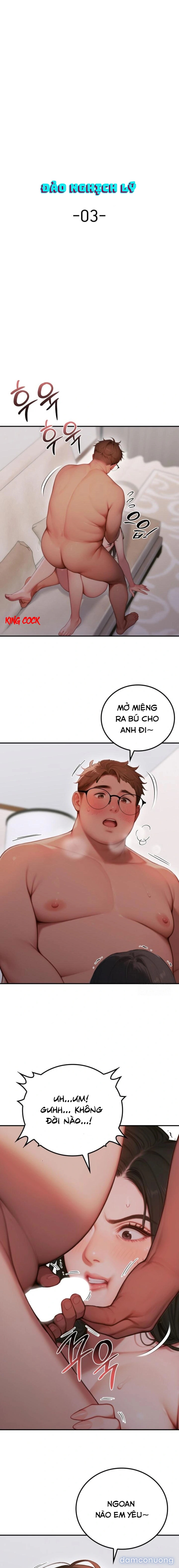 Đảo nghịch lý 