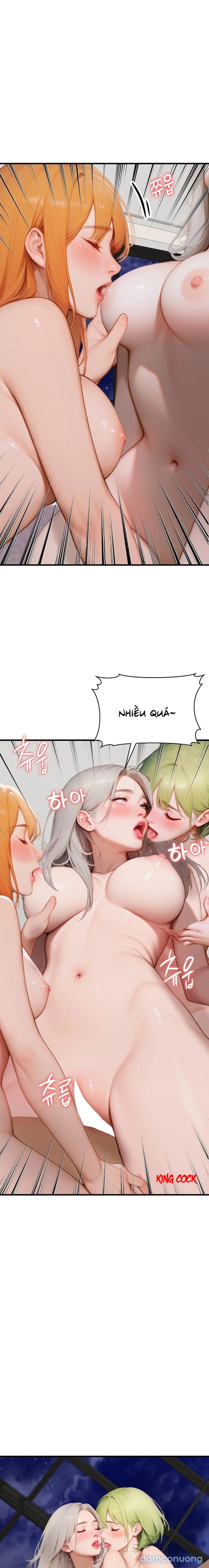 Đảo nghịch lý 