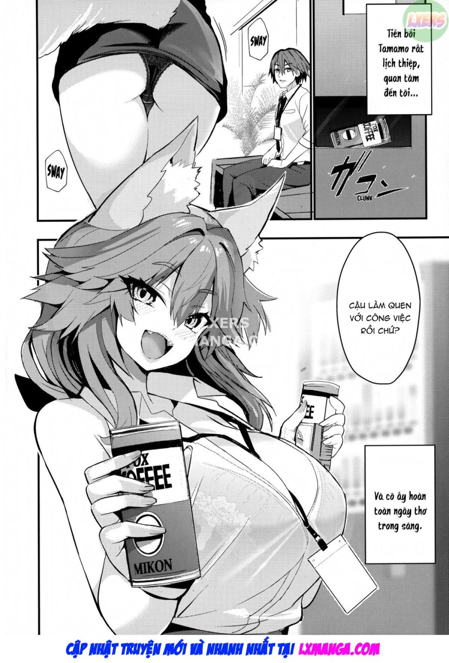 Nhân viên văn phòng Senpai Tamamo 