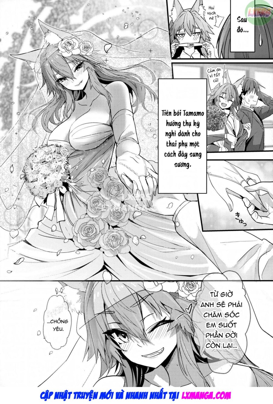 Nhân viên văn phòng Senpai Tamamo 