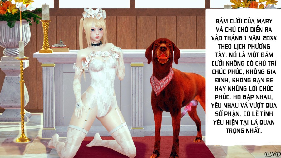 Tình đầu của Mary 5 