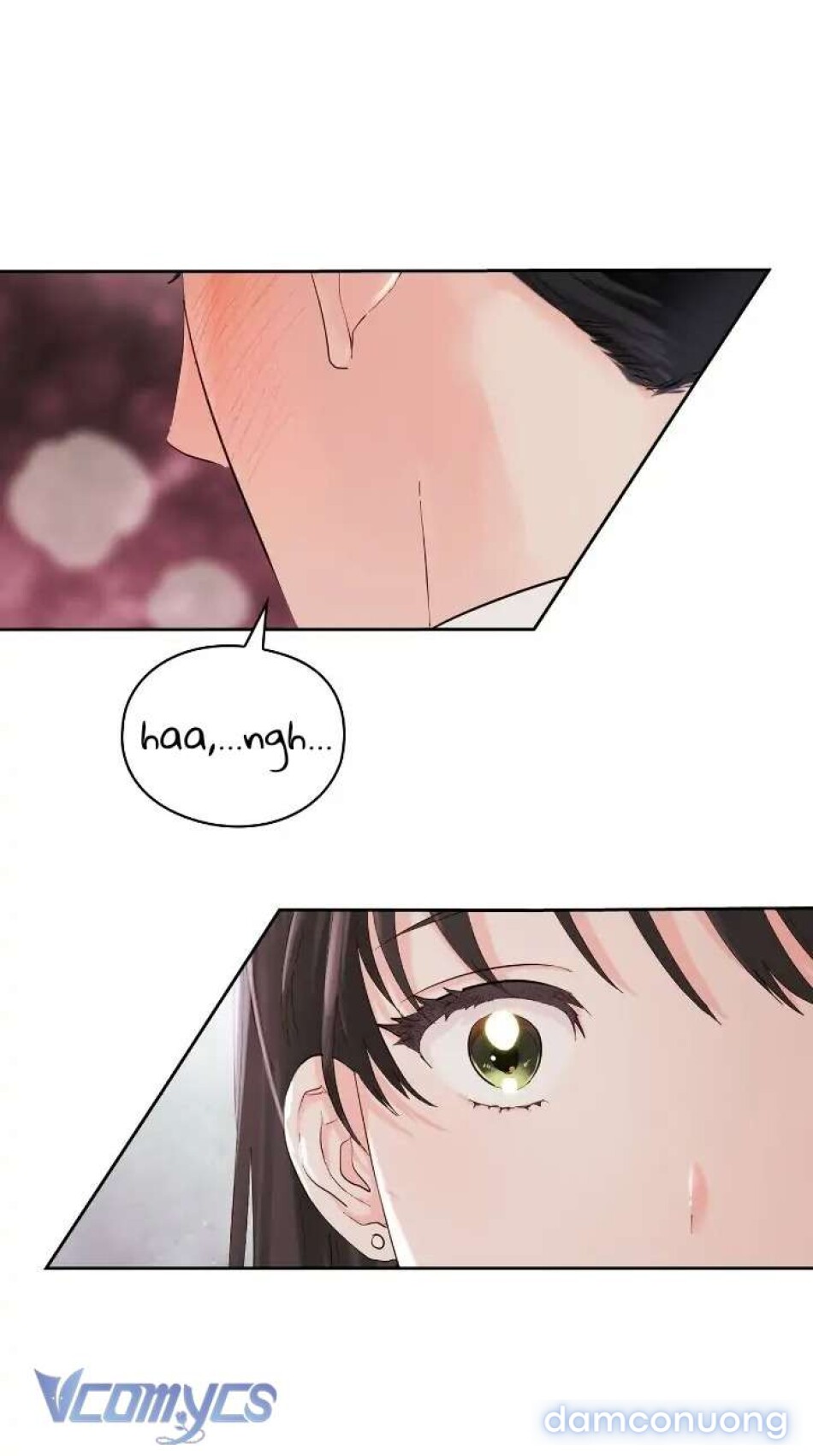 Xin Hãy Đúng Đắn Nơi Công Sở 