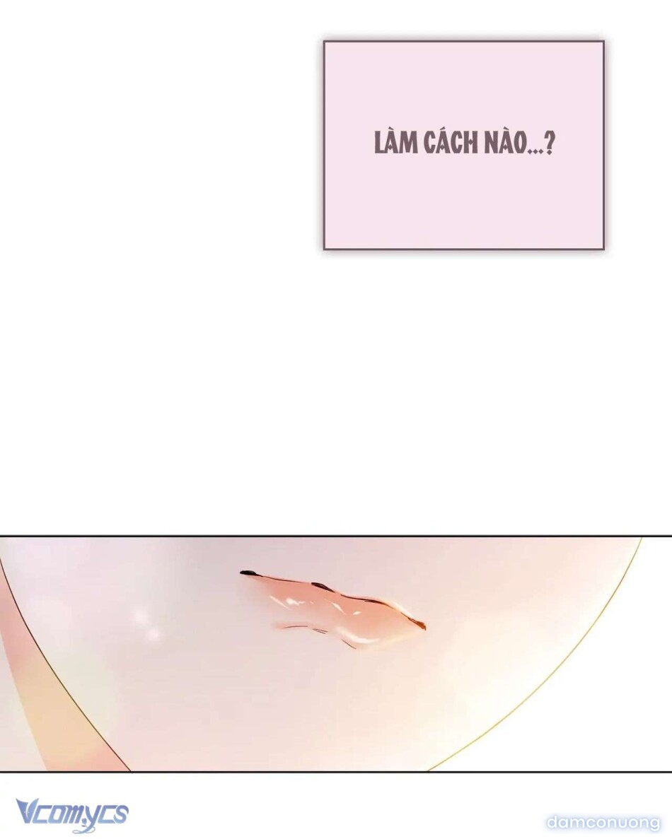 Xin Hãy Đúng Đắn Nơi Công Sở 