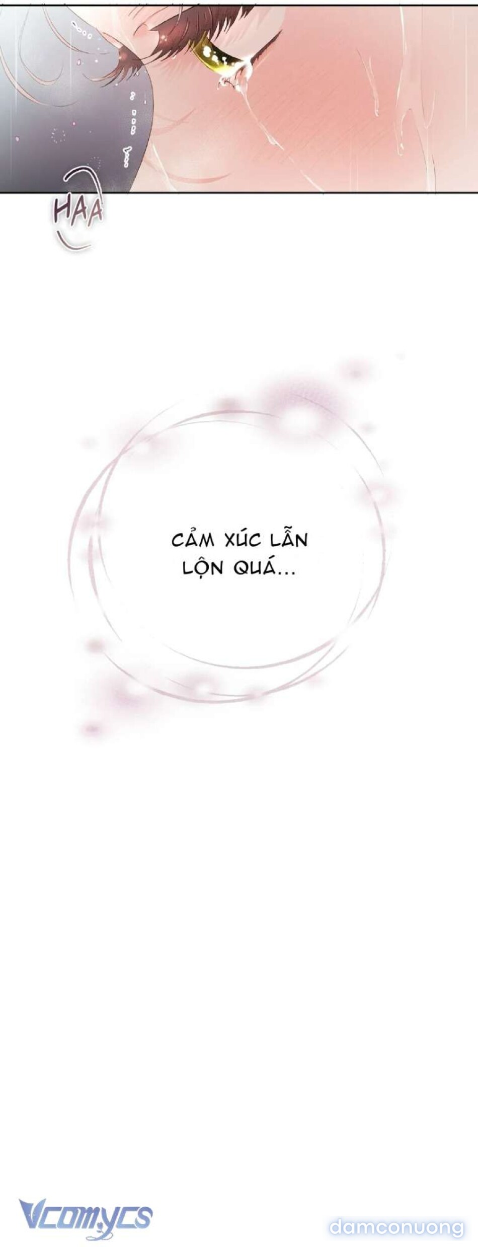 Xin Hãy Đúng Đắn Nơi Công Sở 