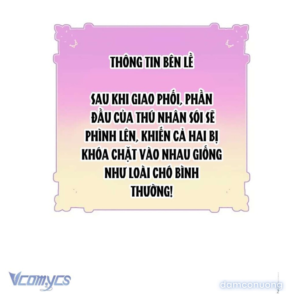 Chiến Lược Chinh Phục Hậu Cung Ngược Của Succubus 