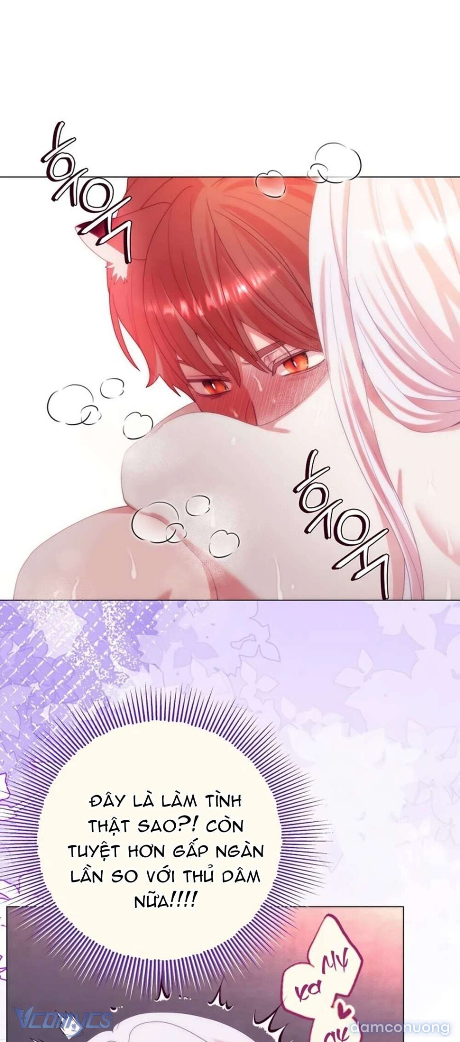 Chiến Lược Chinh Phục Hậu Cung Ngược Của Succubus 