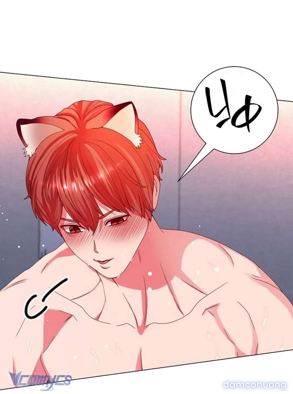 Chiến Lược Chinh Phục Hậu Cung Ngược Của Succubus 