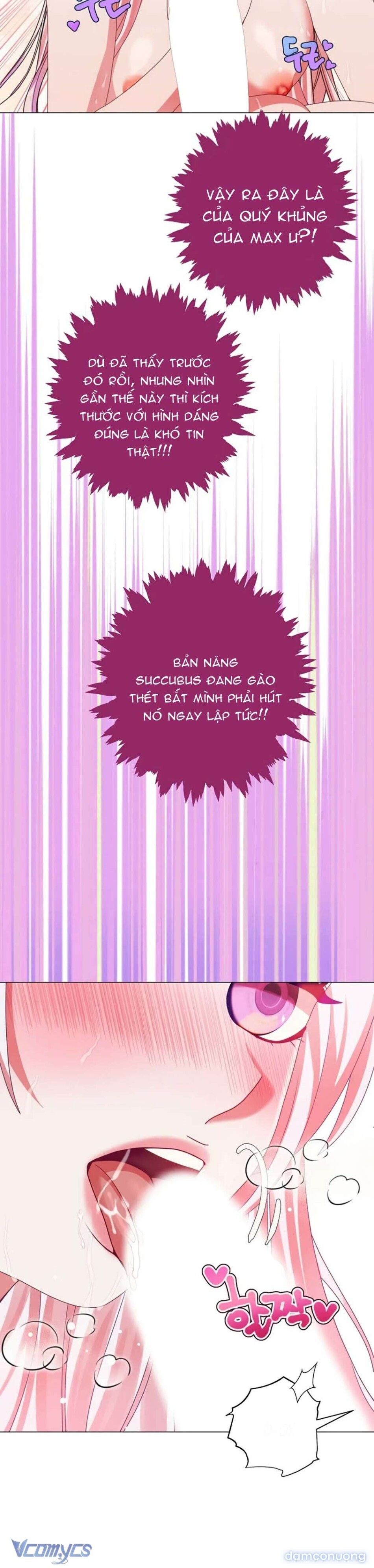 Chiến Lược Chinh Phục Hậu Cung Ngược Của Succubus 