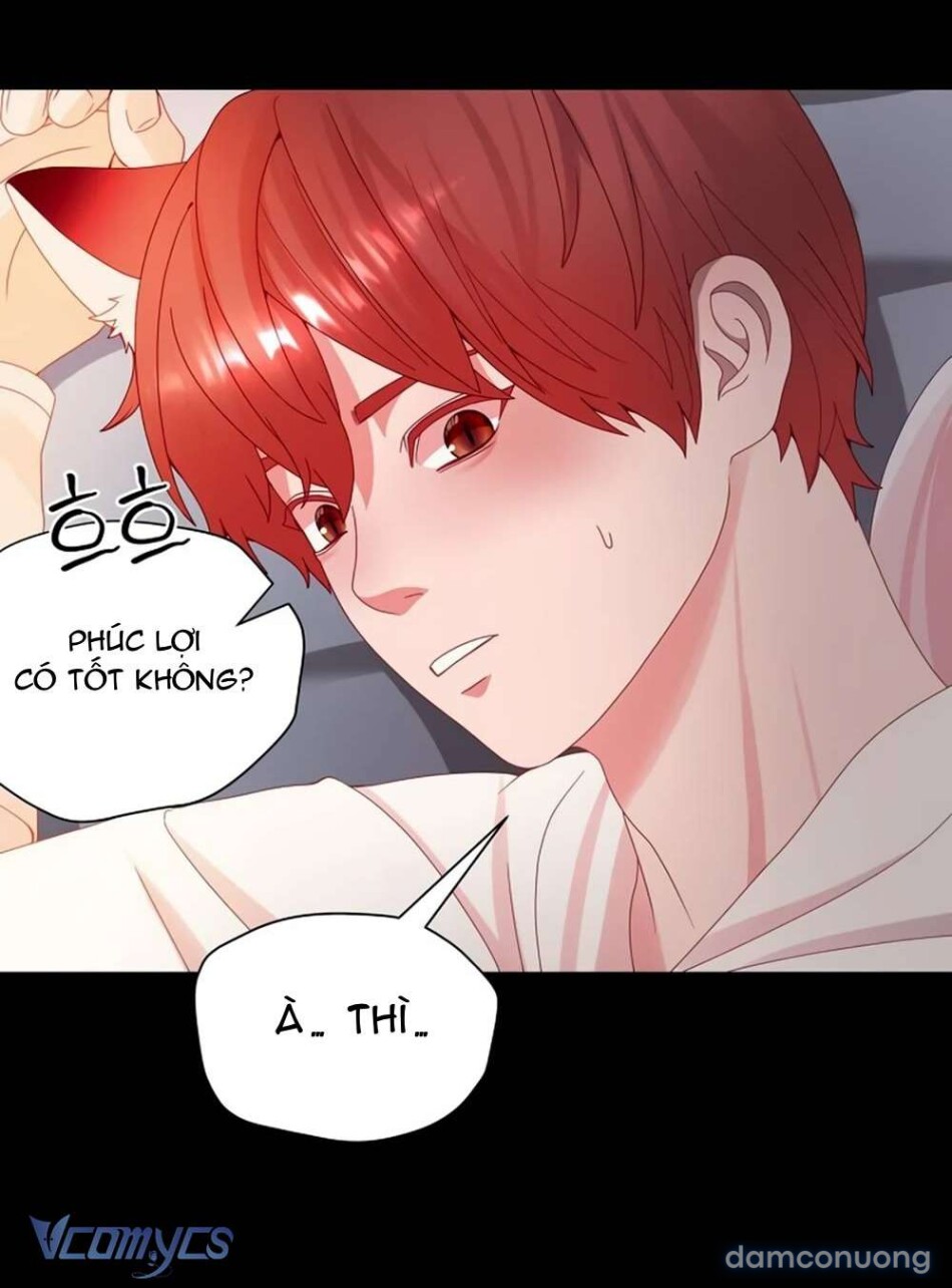 Chiến Lược Chinh Phục Hậu Cung Ngược Của Succubus 