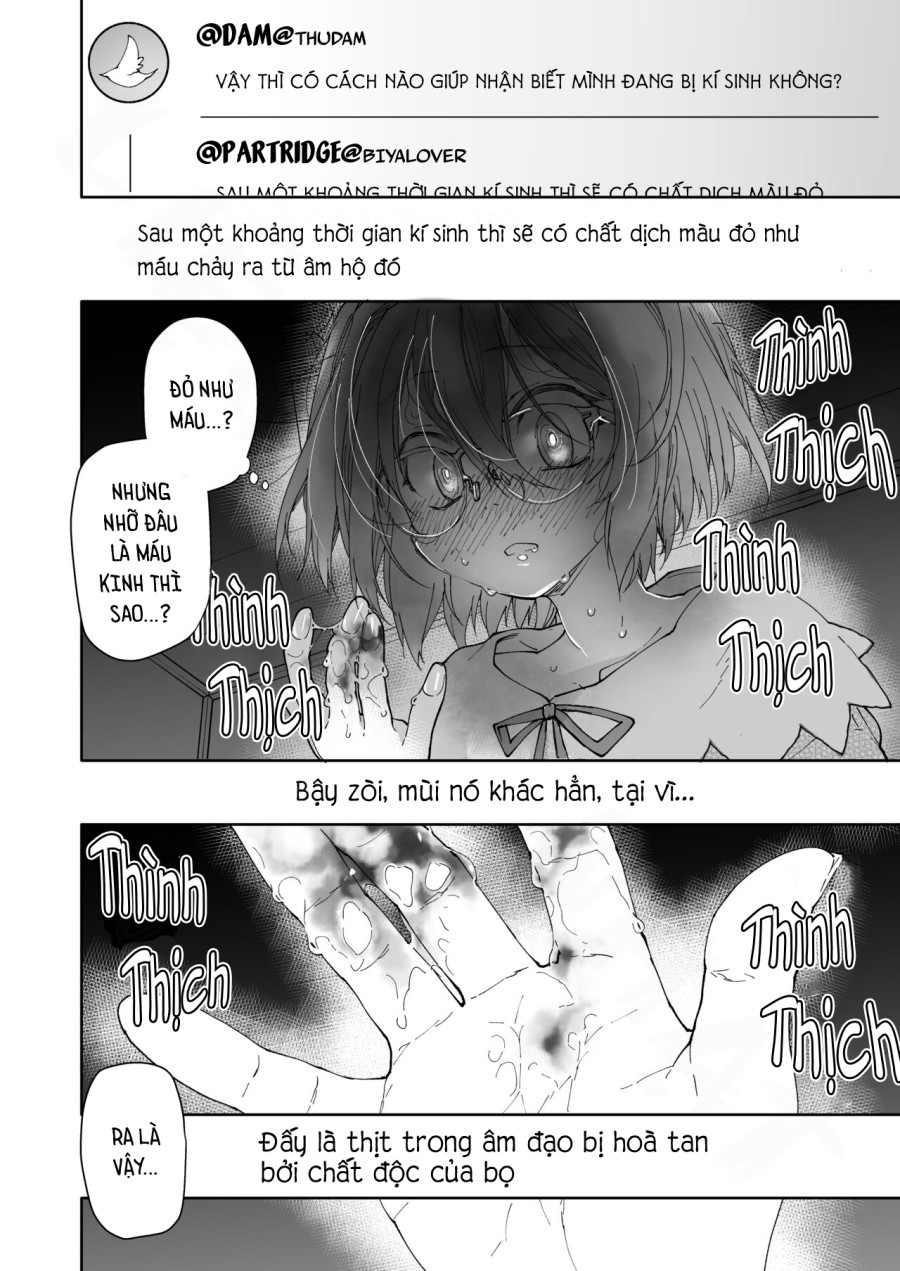 Tất Đùi Và Kí Sinh Trùng 