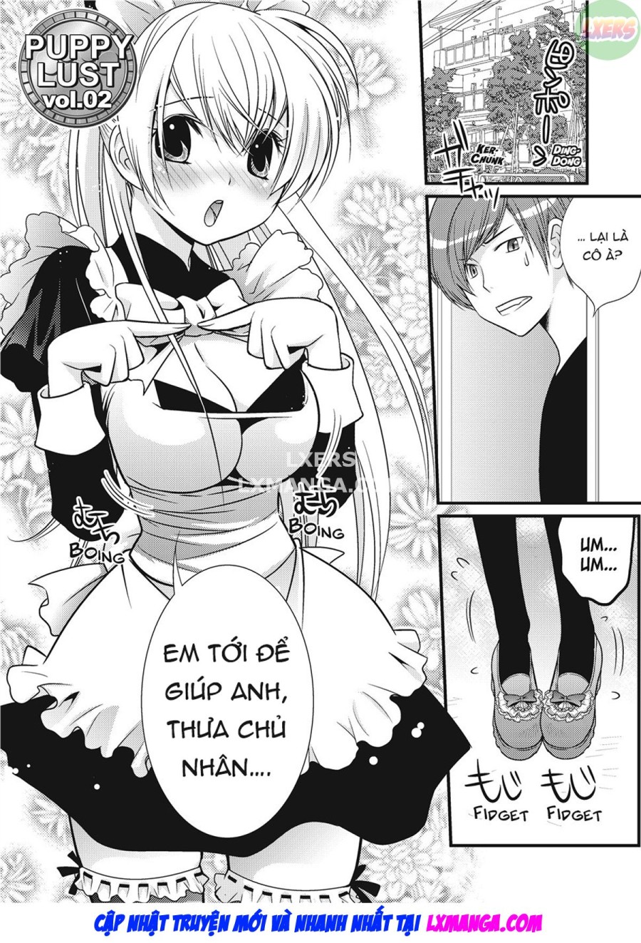 Chó con ham muốn 
