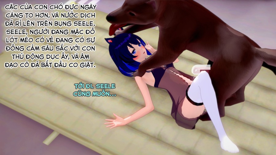 Mèo con và chó 