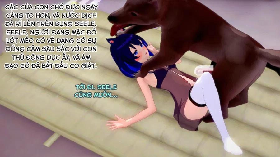 Mèo con và chó 