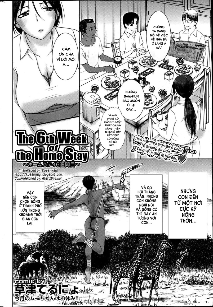 Homestay daydream 