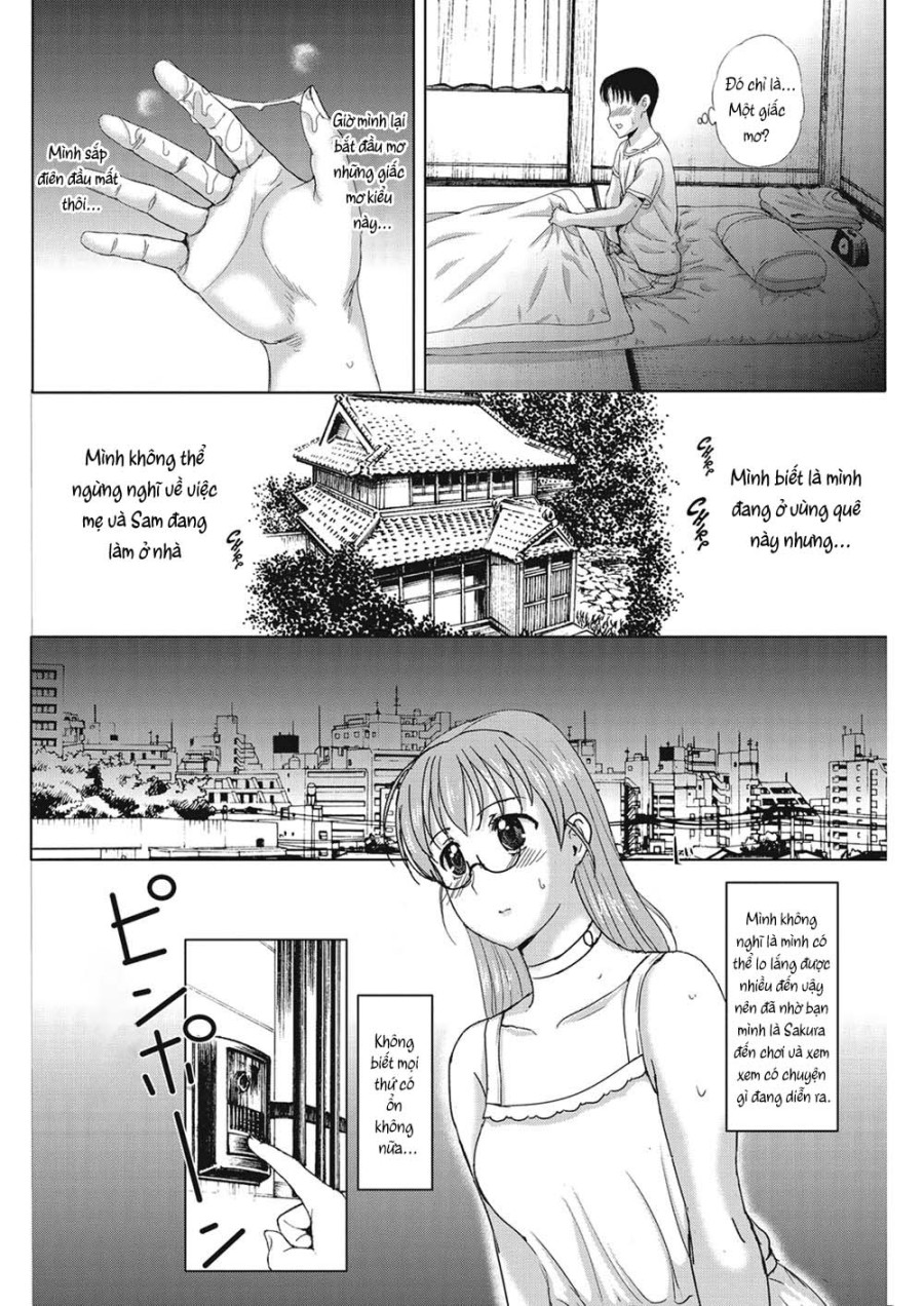 Homestay daydream 