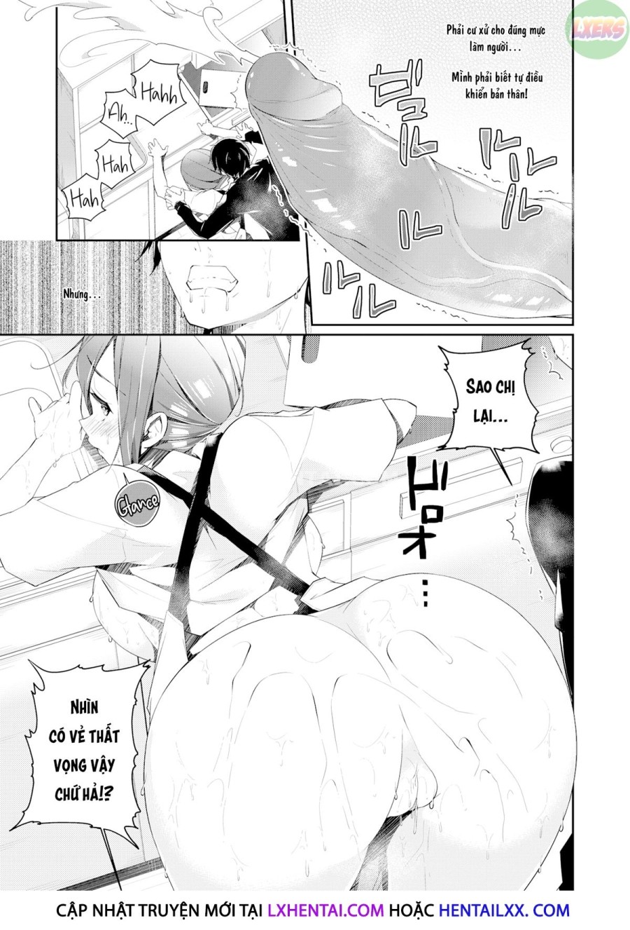 Kyou kara Hajimeru Himo Seikatsu 