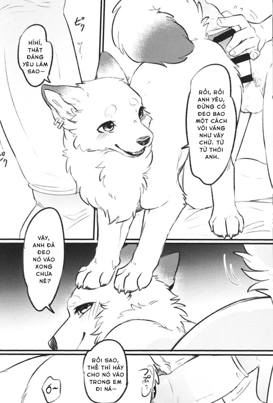 Surudake 