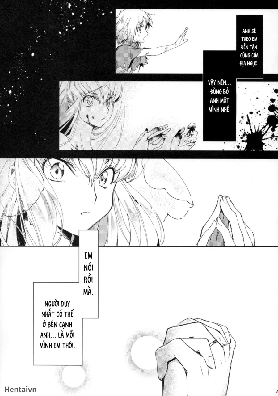 White Noise 