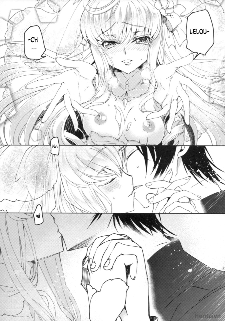 White Noise 