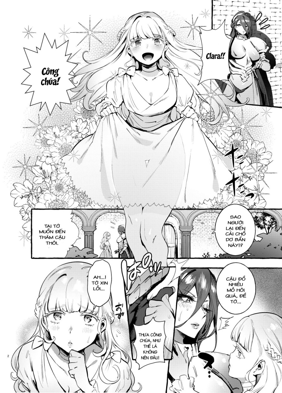 Ochinpo Onna Knight to Shojo Hime 