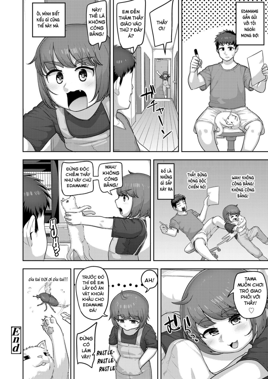 Nekoka no Cinderella 