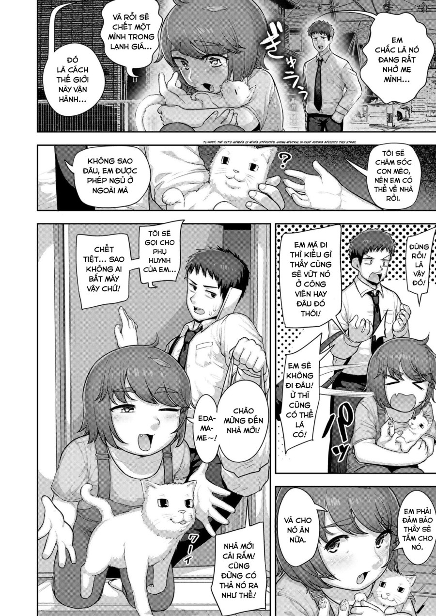 Nekoka no Cinderella 