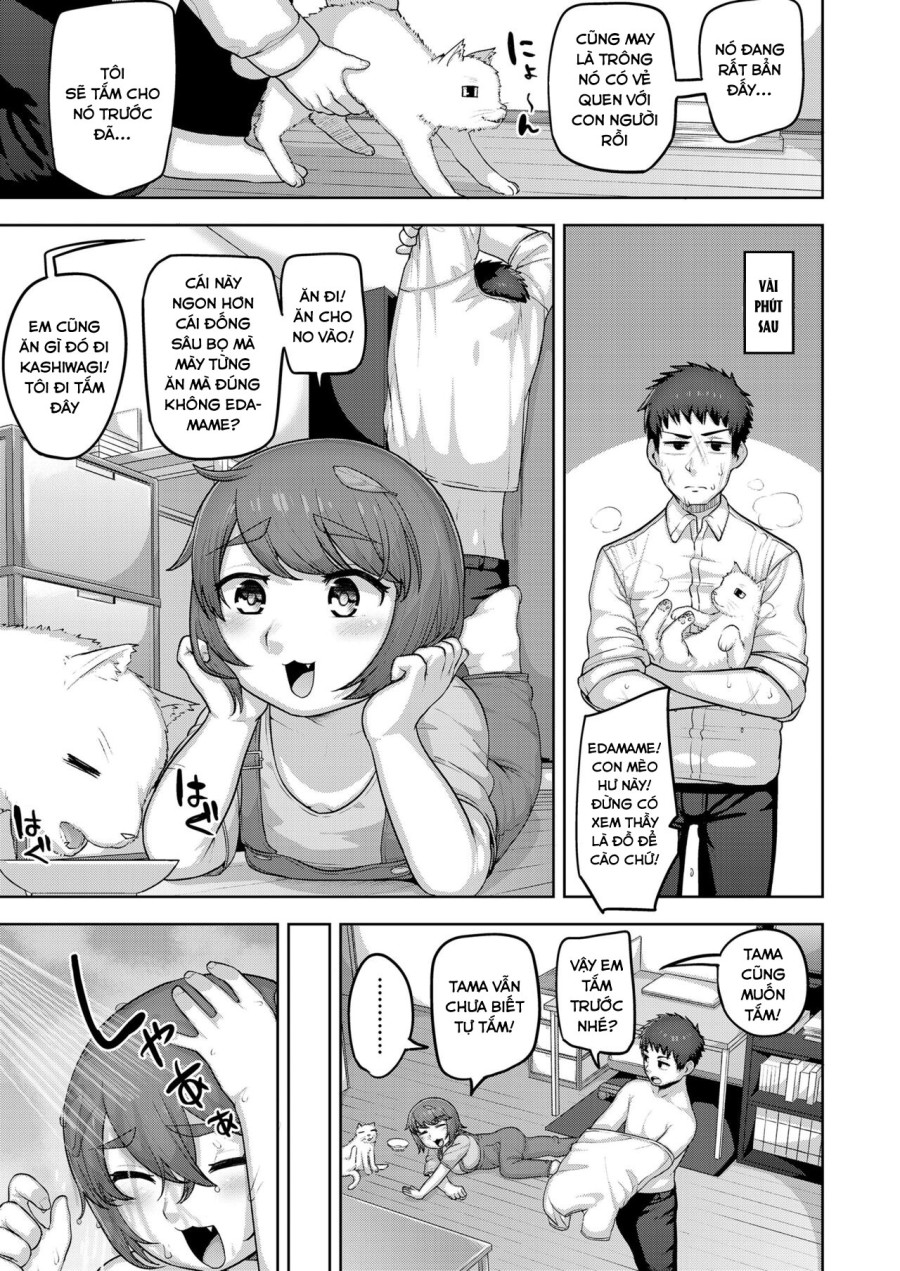 Nekoka no Cinderella 