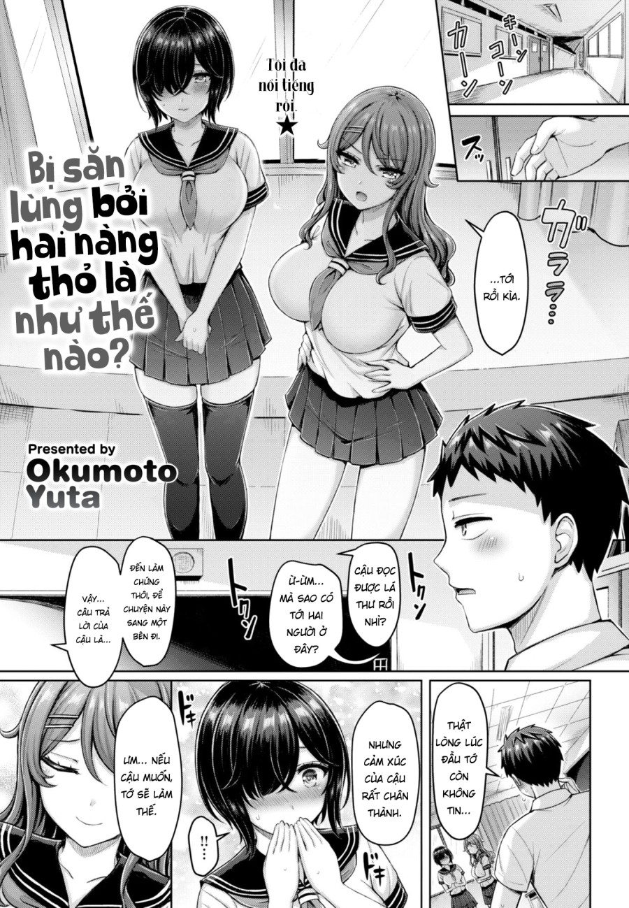 Địt nhau như thỏ, gặm cỏ thay cơm. 