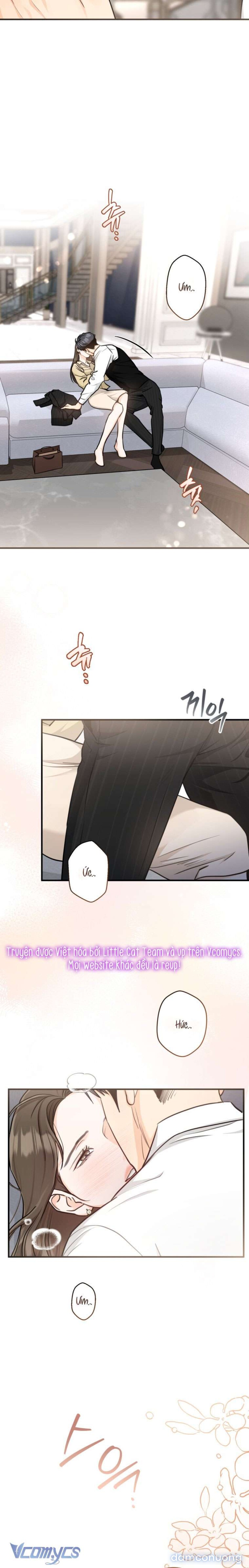 [18+] Chuyện Kết Hôn 