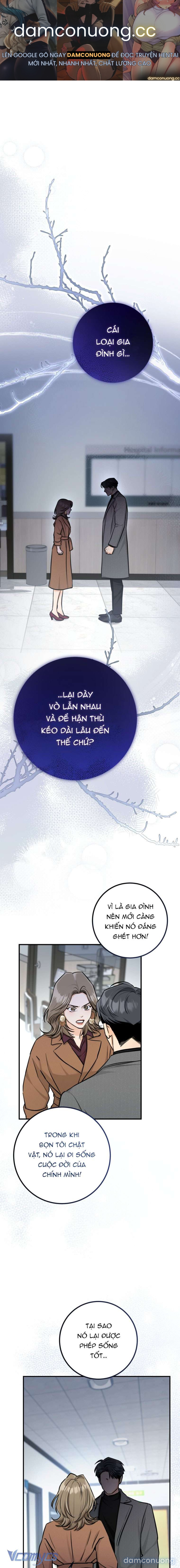 [18+] Chuyện Kết Hôn 