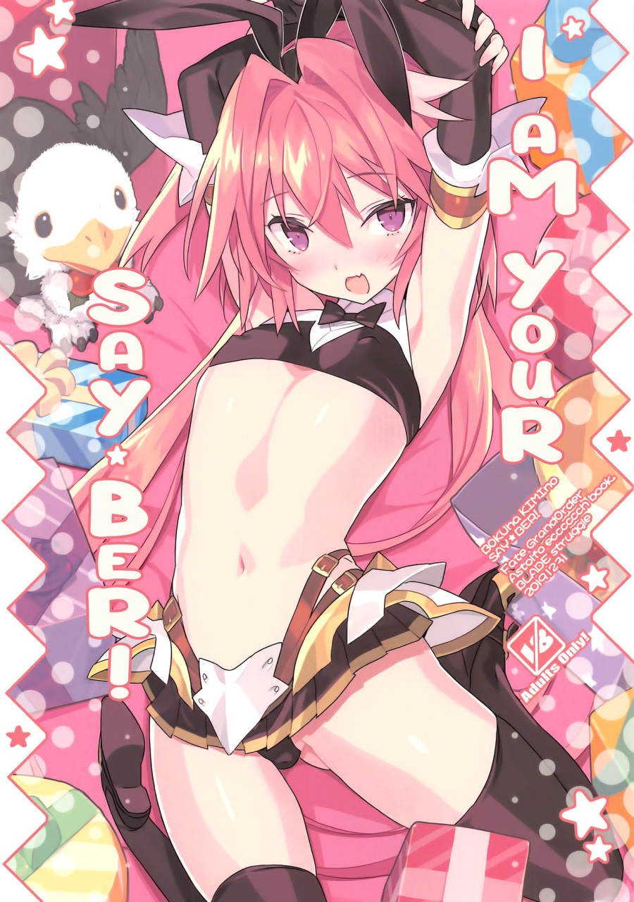 Boku wa Kimi no SAYBER! (Fate/Grand Order) 