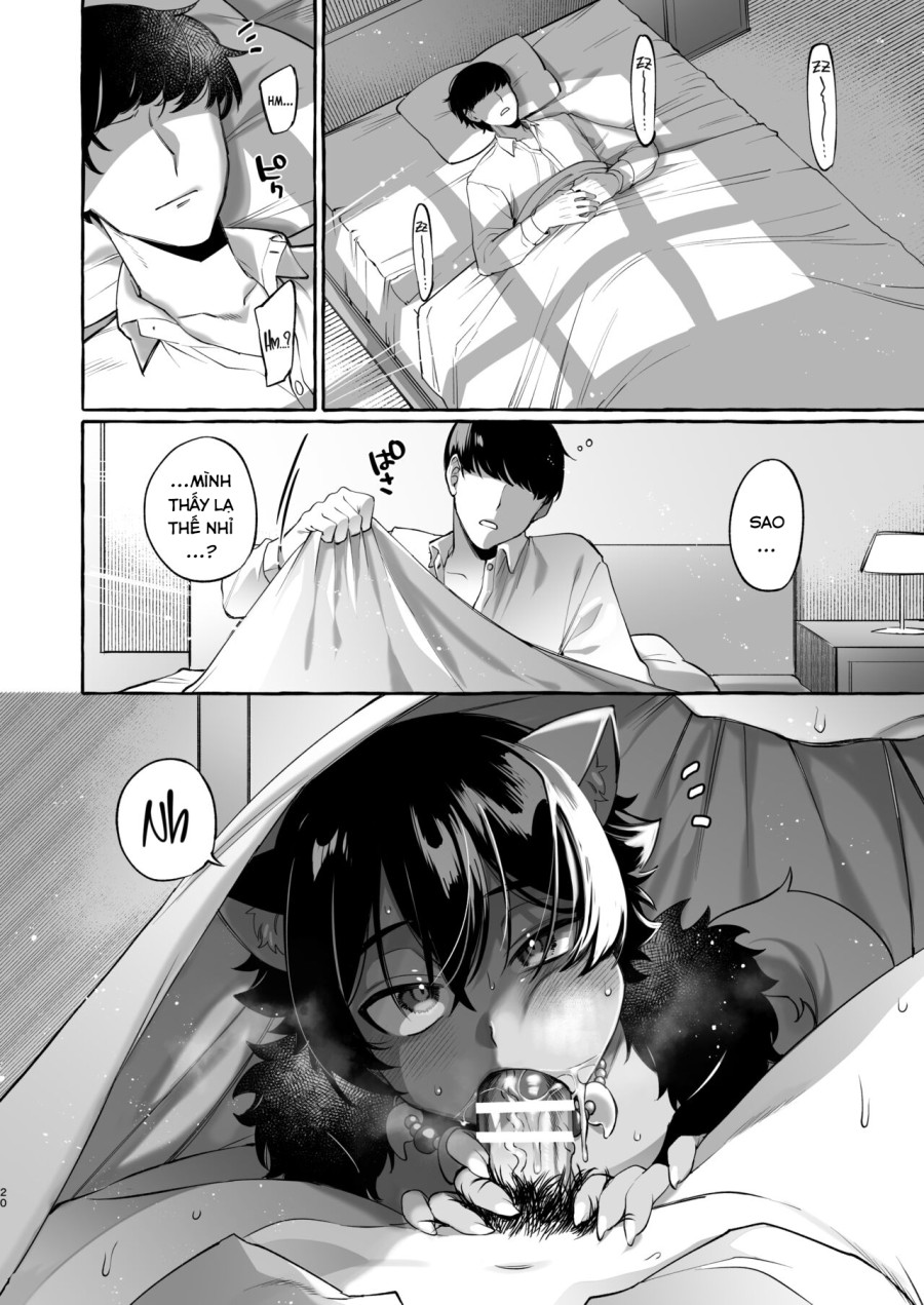 Tôi chuyển sinh đến thế giới khác với dàn harem toàn trap. 