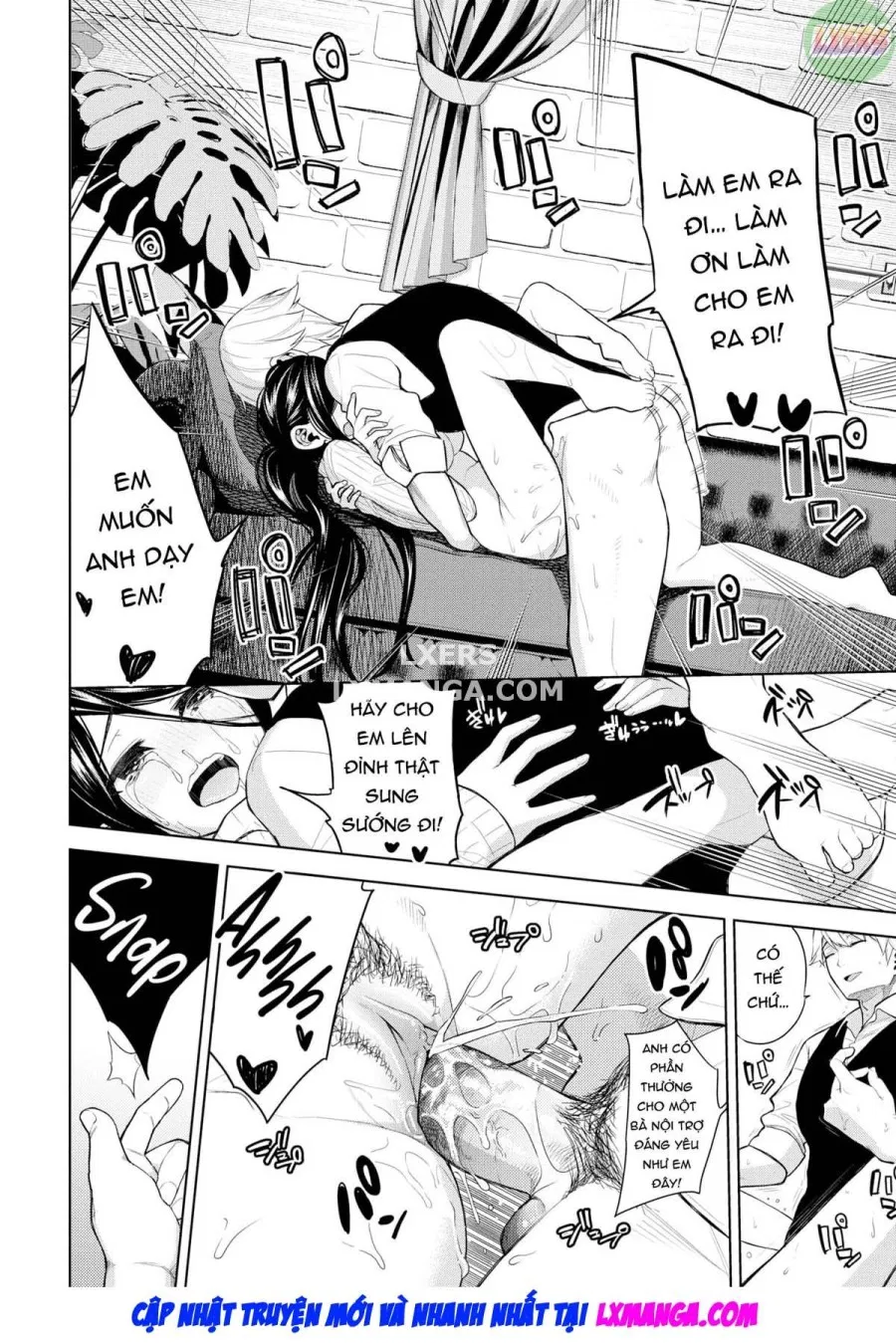 Toaru fufu no seijijo 
