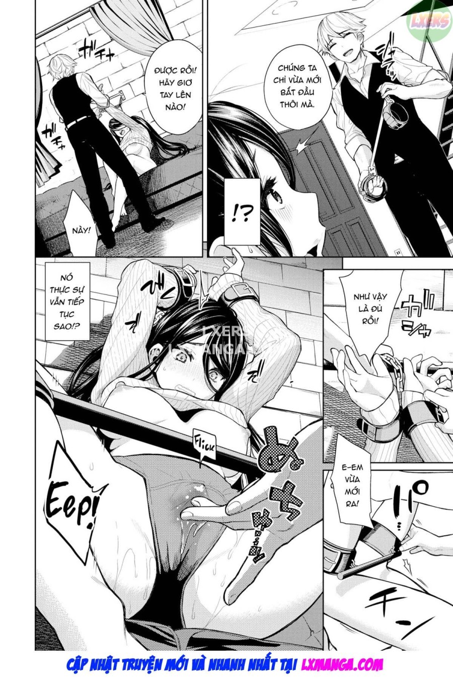 Toaru fufu no seijijo 