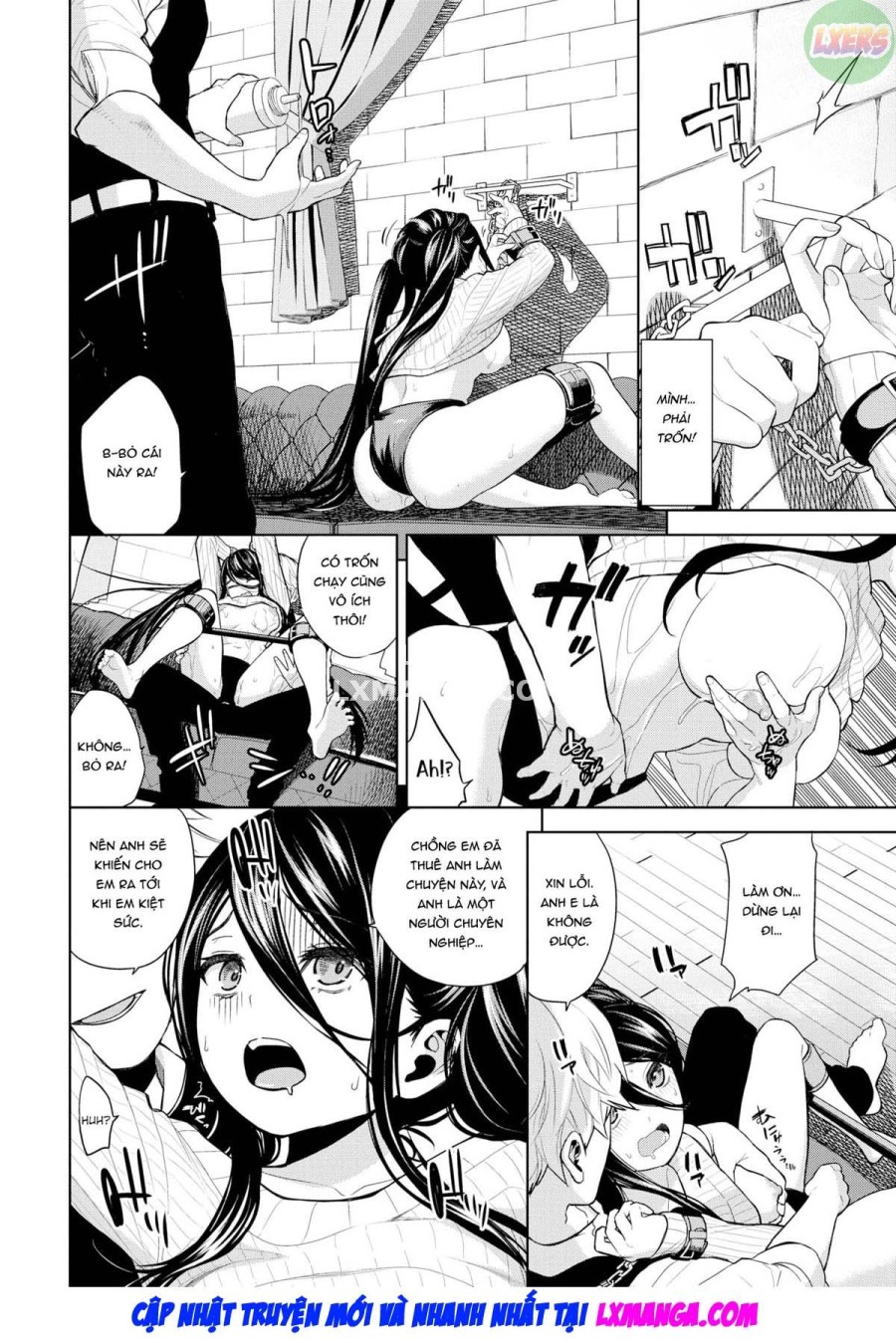 Toaru fufu no seijijo 