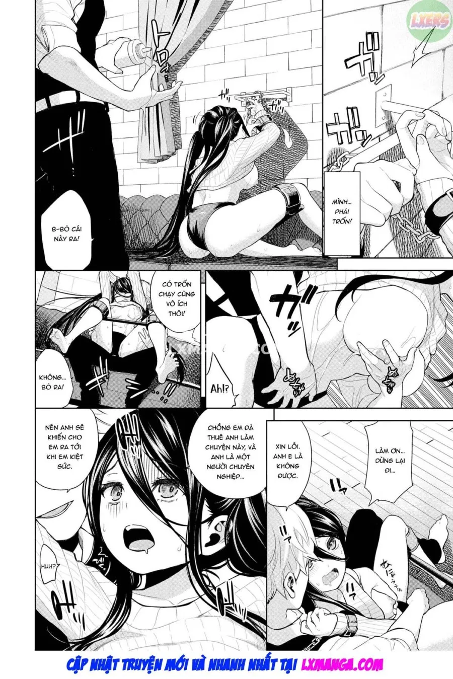 Toaru fufu no seijijo 