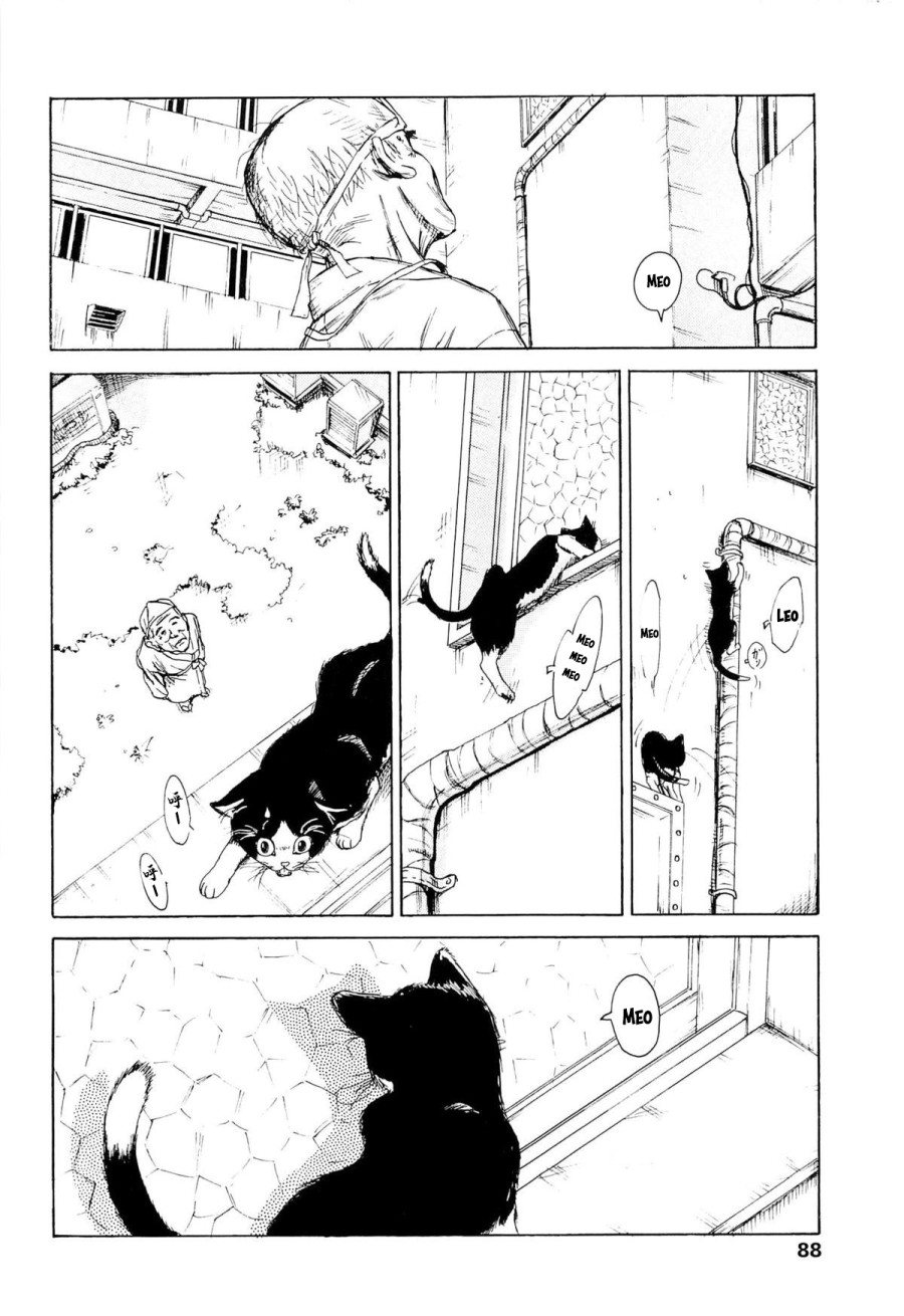 Kaineko 