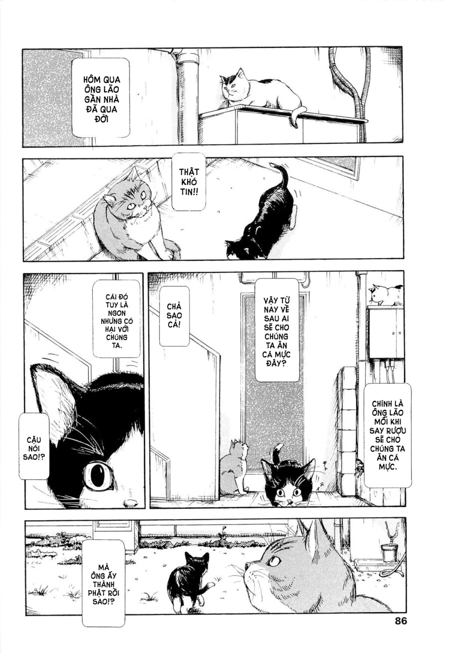 Kaineko 