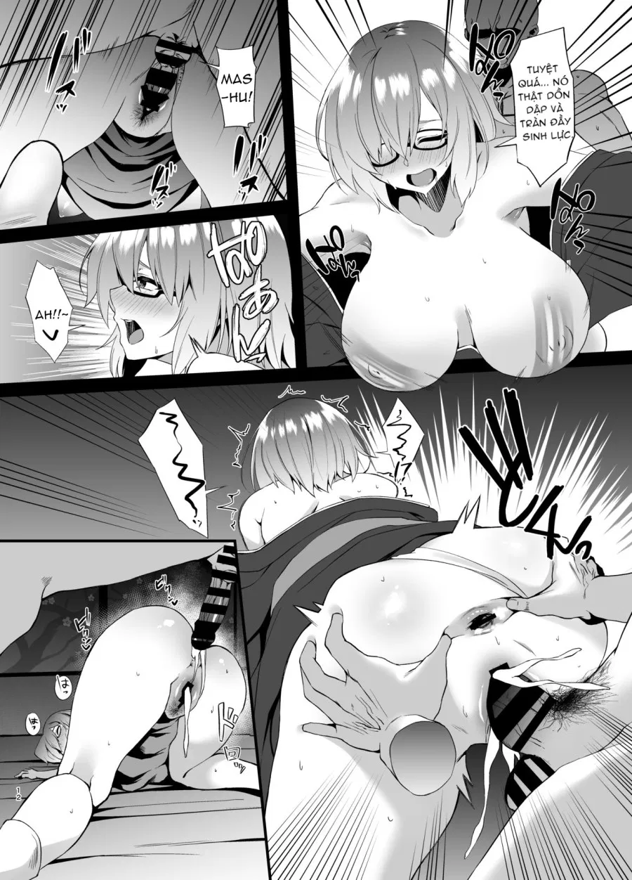FDO Fate/Dosukebe Order VOL.1.5 
