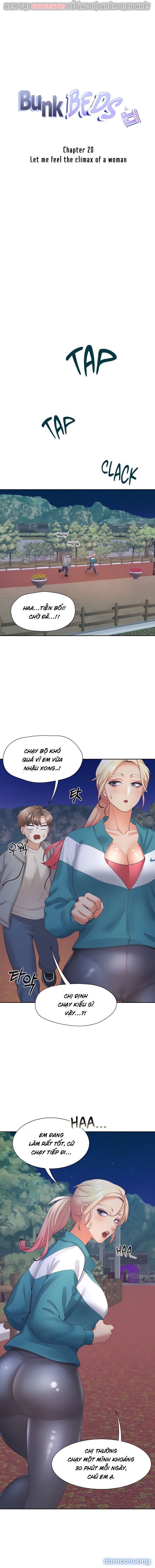 Chiếc Giường Tầng 