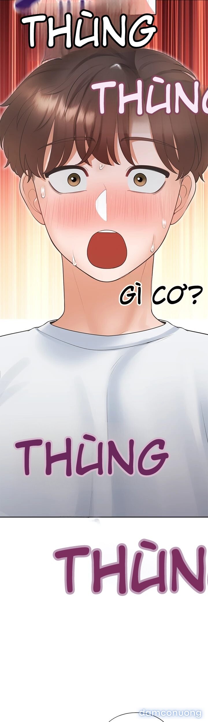 Chiếc Giường Tầng 