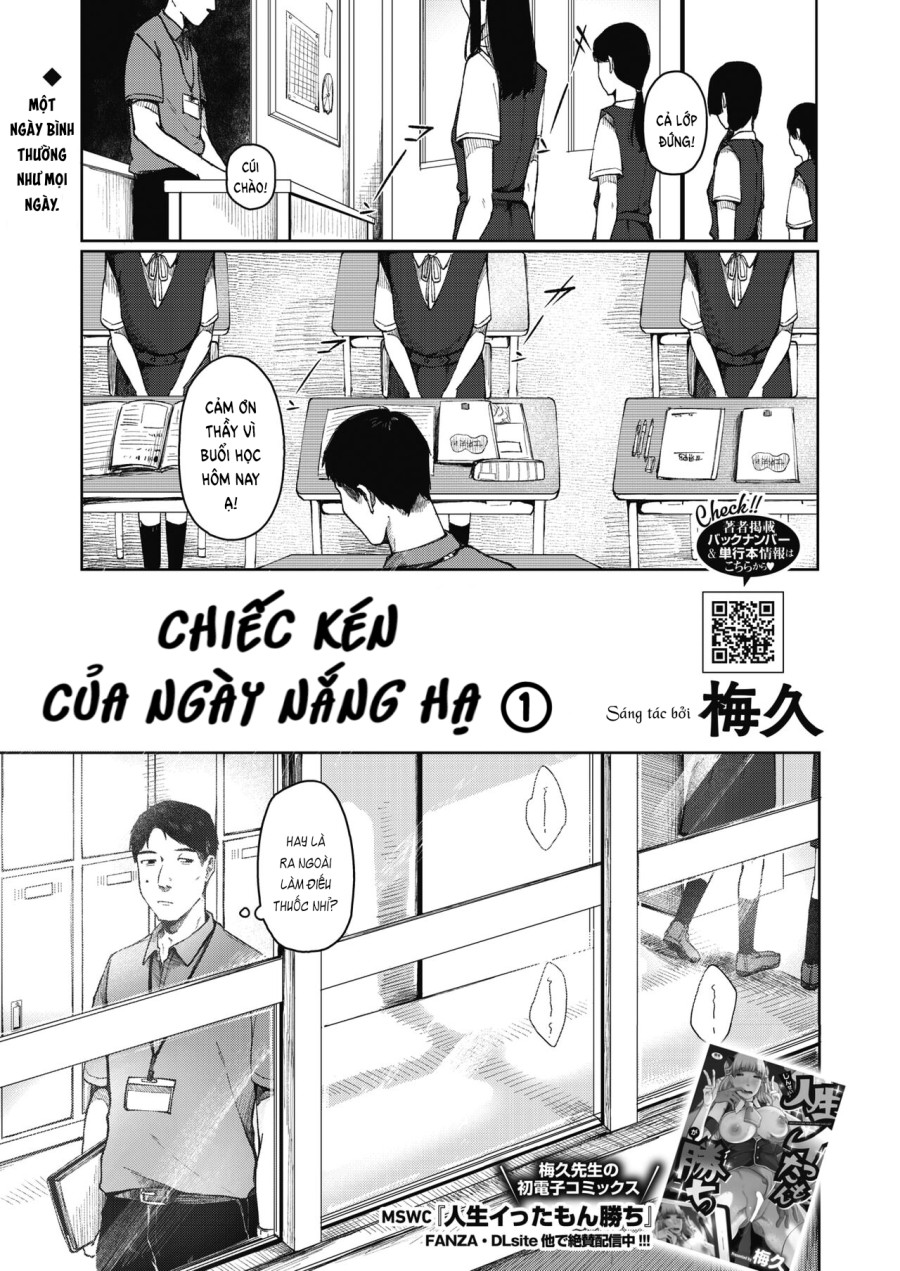 Chiếc Kén Của Ngày Nắng Hạ 