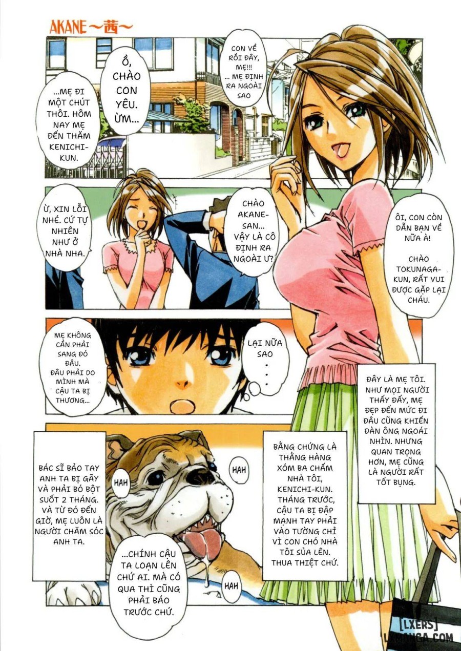 AKANE SERI 